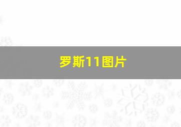 罗斯11图片