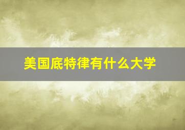 美国底特律有什么大学