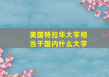 美国特拉华大学相当于国内什么大学