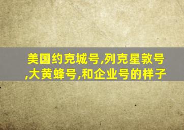 美国约克城号,列克星敦号,大黄蜂号,和企业号的样子