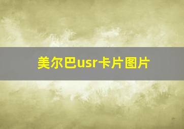 美尔巴usr卡片图片