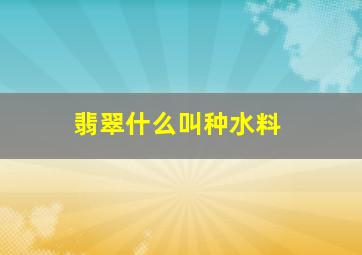 翡翠什么叫种水料