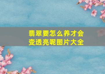 翡翠要怎么养才会变透亮呢图片大全