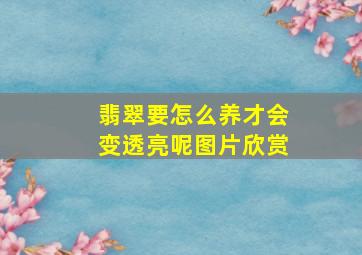 翡翠要怎么养才会变透亮呢图片欣赏