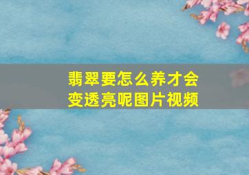 翡翠要怎么养才会变透亮呢图片视频