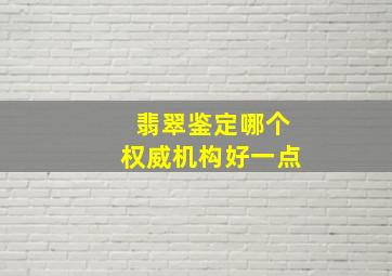 翡翠鉴定哪个权威机构好一点