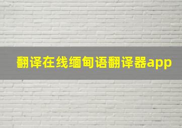 翻译在线缅甸语翻译器app