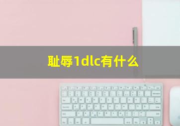 耻辱1dlc有什么