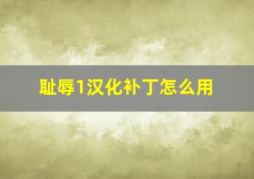 耻辱1汉化补丁怎么用