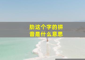 肋这个字的拼音是什么意思