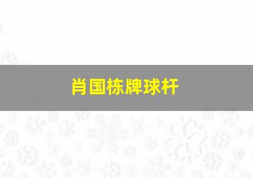 肖国栋牌球杆