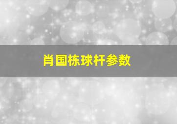 肖国栋球杆参数