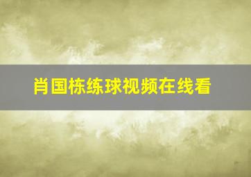 肖国栋练球视频在线看