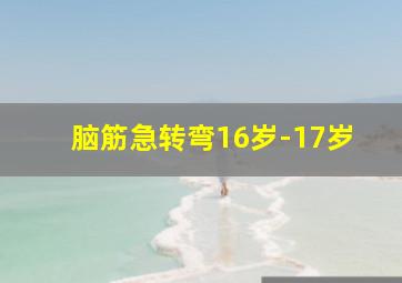 脑筋急转弯16岁-17岁