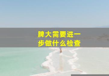 脾大需要进一步做什么检查