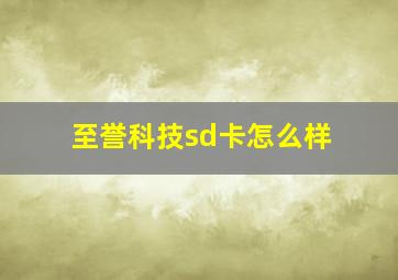 至誉科技sd卡怎么样