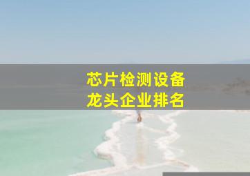 芯片检测设备龙头企业排名