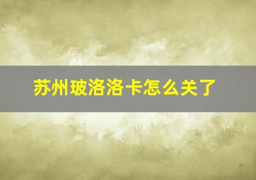 苏州玻洛洛卡怎么关了