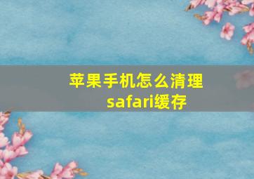 苹果手机怎么清理safari缓存