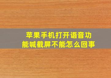 苹果手机打开语音功能喊截屏不能怎么回事