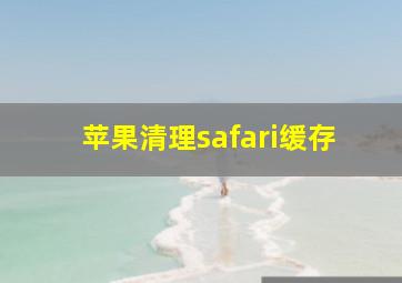 苹果清理safari缓存