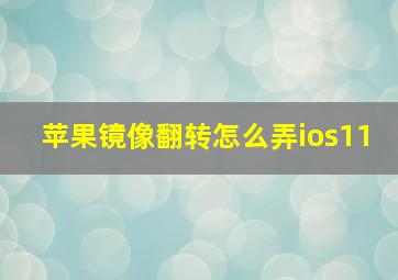 苹果镜像翻转怎么弄ios11