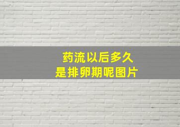 药流以后多久是排卵期呢图片