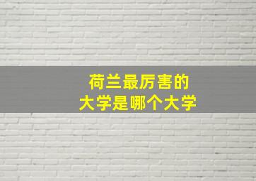 荷兰最厉害的大学是哪个大学