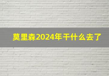 莫里森2024年干什么去了