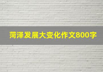 菏泽发展大变化作文800字