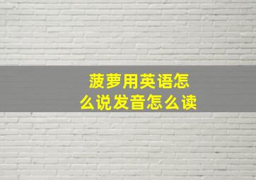 菠萝用英语怎么说发音怎么读