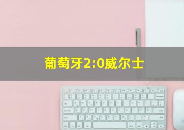 葡萄牙2:0威尔士