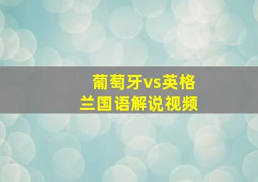 葡萄牙vs英格兰国语解说视频