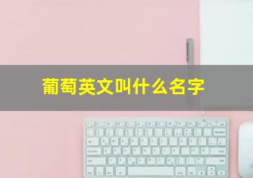 葡萄英文叫什么名字