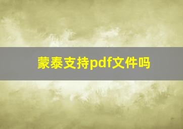 蒙泰支持pdf文件吗