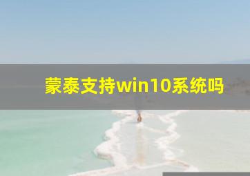 蒙泰支持win10系统吗