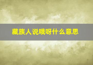 藏族人说哦呀什么意思