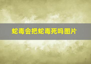 蛇毒会把蛇毒死吗图片