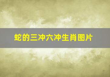 蛇的三冲六冲生肖图片