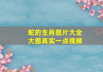 蛇的生肖图片大全大图真实一点视频