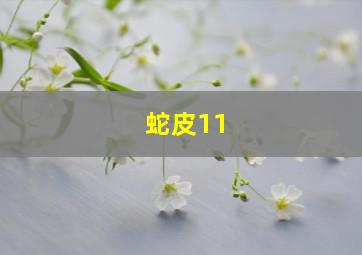 蛇皮11