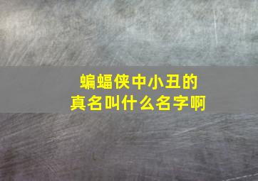 蝙蝠侠中小丑的真名叫什么名字啊