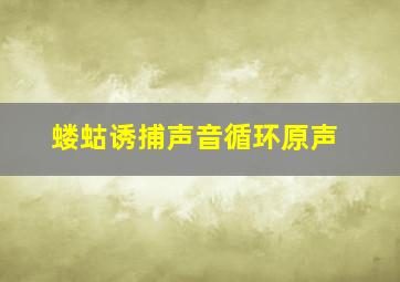 蝼蛄诱捕声音循环原声