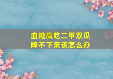 血糖高吃二甲双瓜降不下来该怎么办