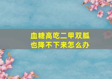 血糖高吃二甲双胍也降不下来怎么办