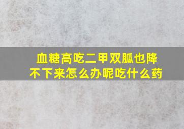 血糖高吃二甲双胍也降不下来怎么办呢吃什么药