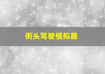 街头驾驶模拟器