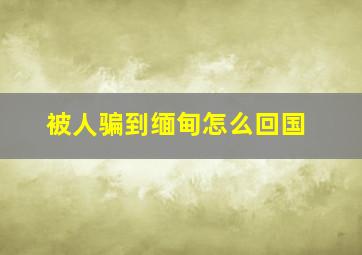 被人骗到缅甸怎么回国