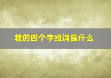 裁的四个字组词是什么