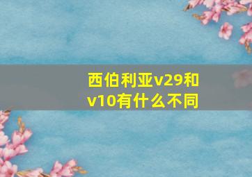 西伯利亚v29和v10有什么不同